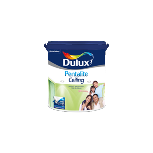 Dulux Pentalite Ceiling