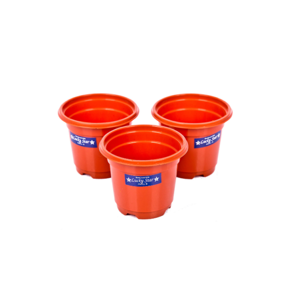 Lucky Star - Pot Bunga Bibit 9cm