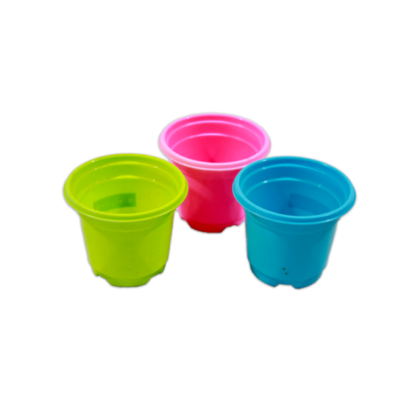 Lucky Star - Pot Bunga Bibit 10 cm - Image 2