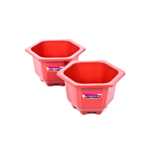 Lucky Star - Pot Bunga Segi 6 Mini
