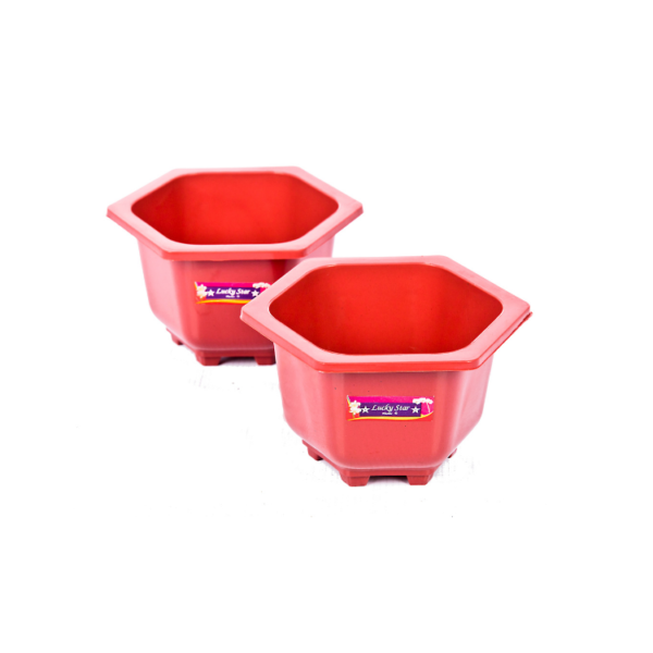 Lucky Star - Pot Bunga Segi 6 Mini