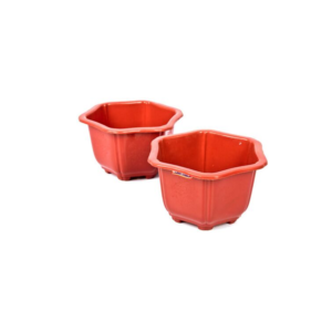 Lucky Star - Pot Bunga Segi 6