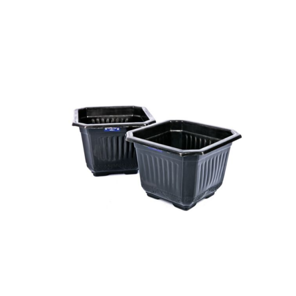 Lucky Star - Pot Bunga Segi - Image 3