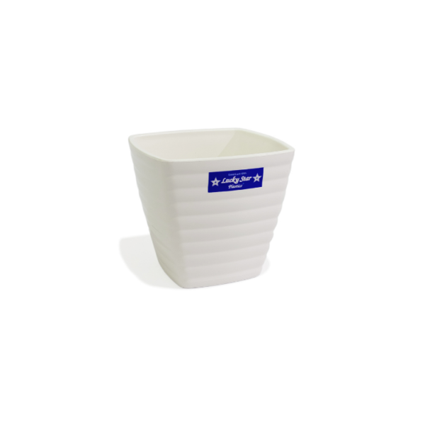 Lucky Star - Pot Bunga Aeris - Image 5