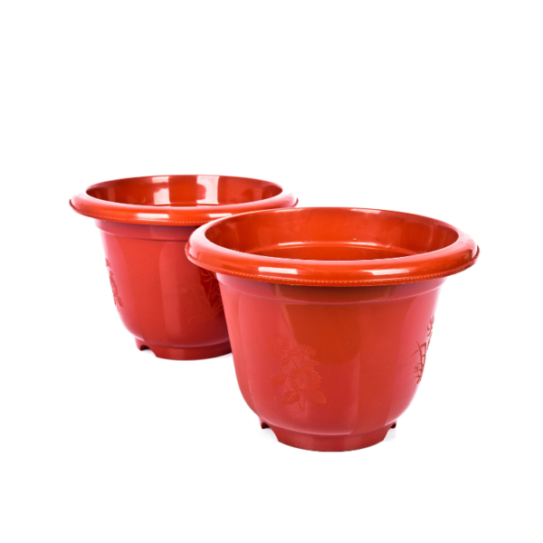 Lucky Star - Pot Bunga Jasmin - Image 2