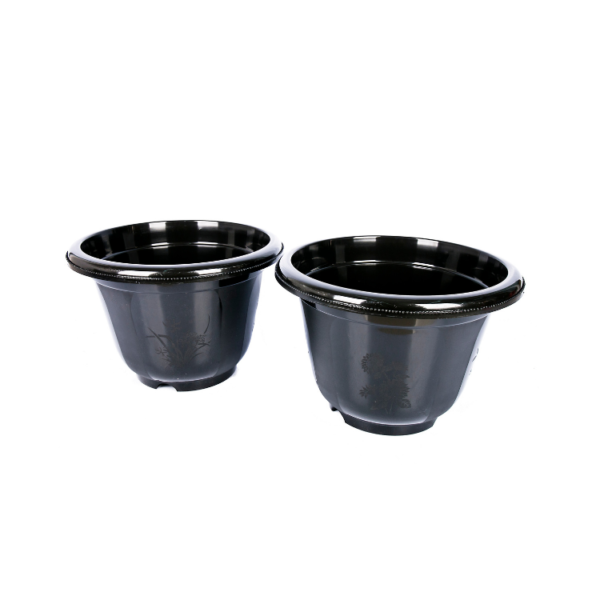 Lucky Star - Pot Bunga Jasmin