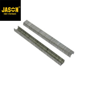 Jason Isi Staples Angin