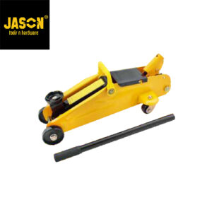 Jason Dongkrak Buaya 2 ton